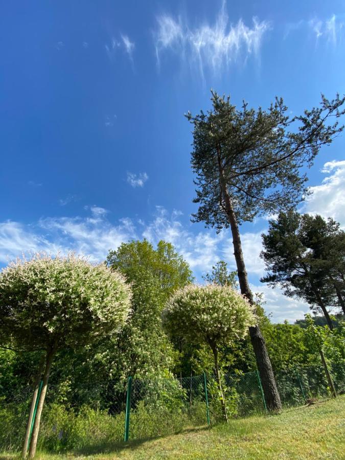 Domek Matylda- Kaszuby Villa Nowe Czaple  Luaran gambar